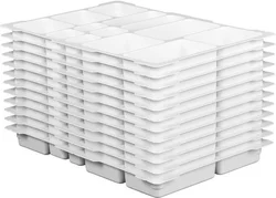 Education: Sorting tray 12 pieces