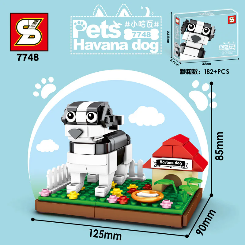 Sweet: pet dogs, four, little Persians, little Paco, little Rosen, little Hava 7746 image 9