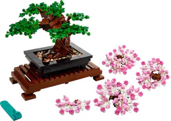 Potted Bonsai Tree