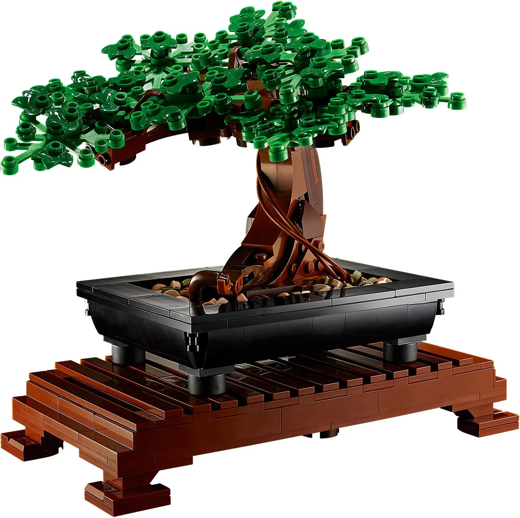 Potted Bonsai Tree 11651 image 7