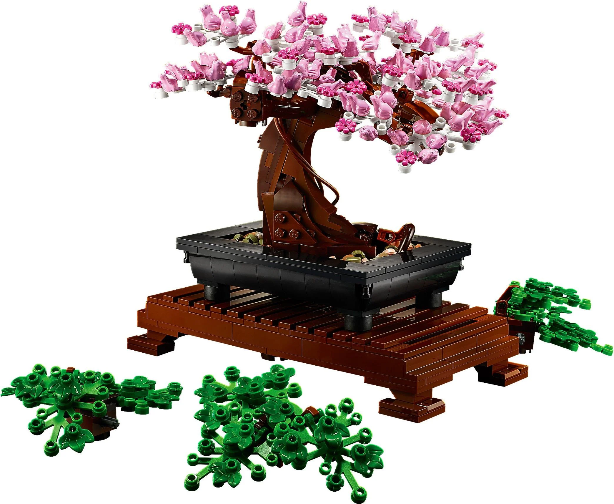 Potted Bonsai Tree 11651 image 8