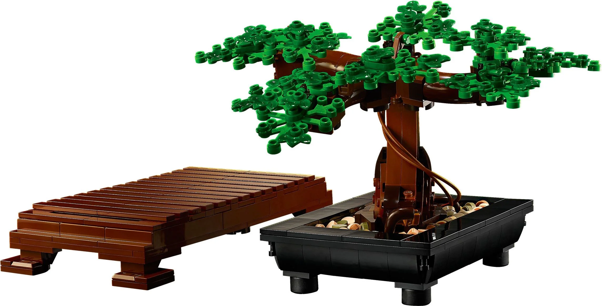 Potted Bonsai Tree 11651 image 9