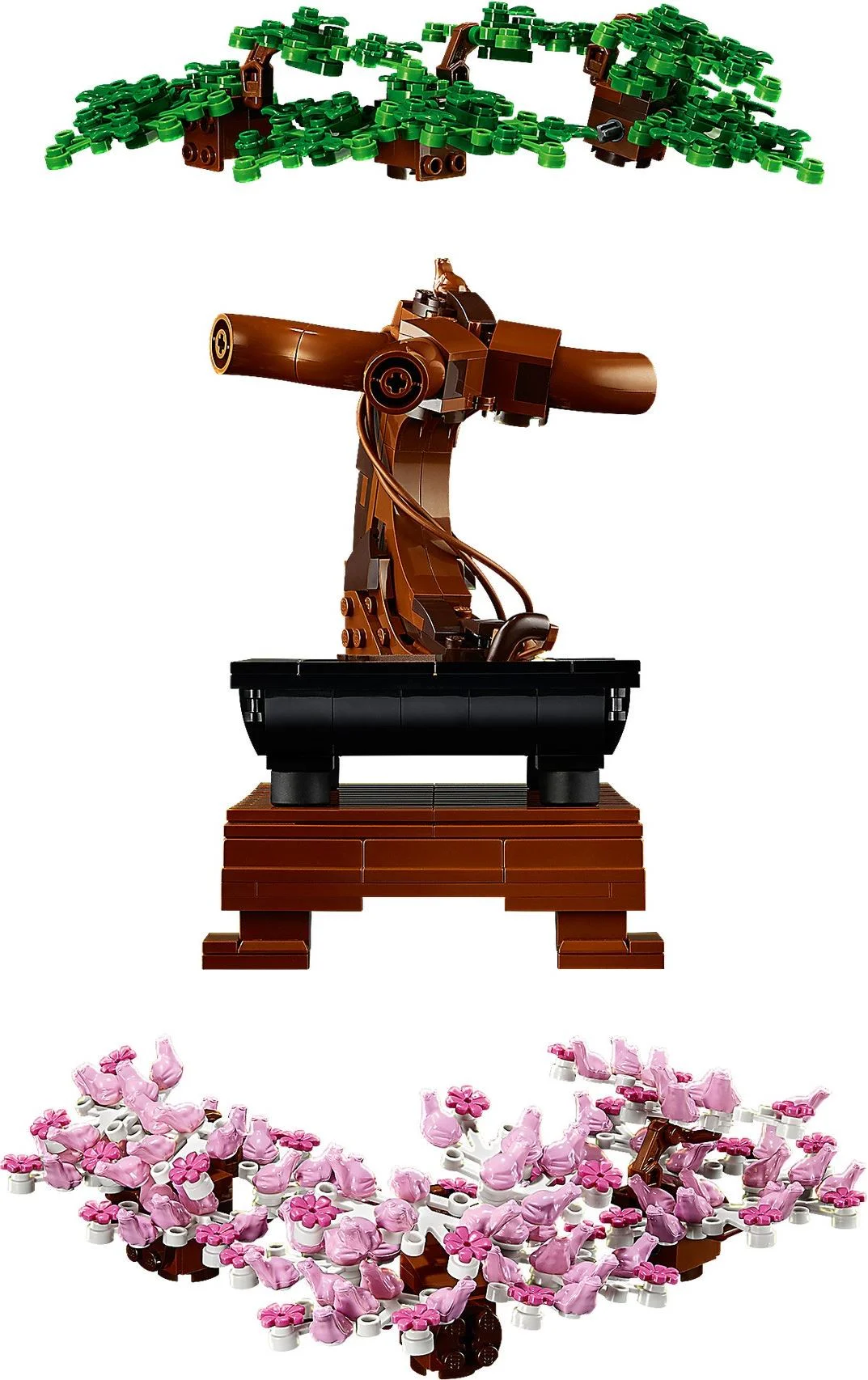 Potted Bonsai Tree 11651 image 10