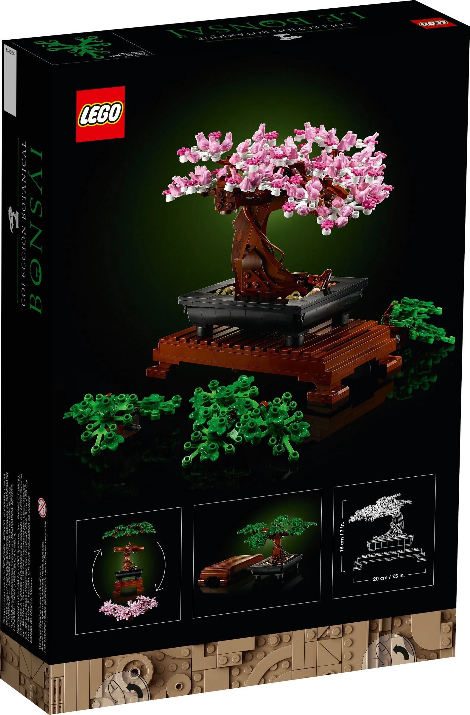 Potted Bonsai Tree 11651 image 11