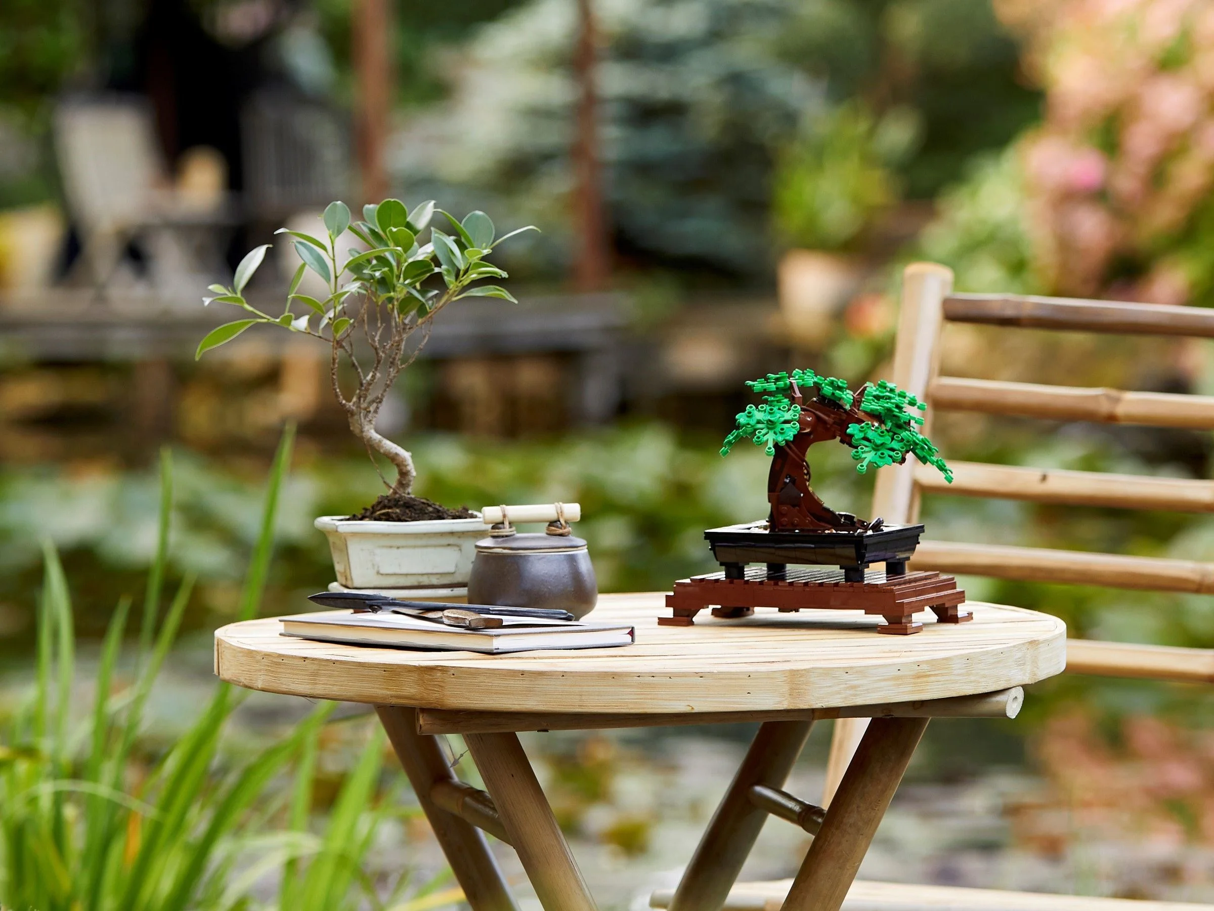 Potted Bonsai Tree 11651 image 12