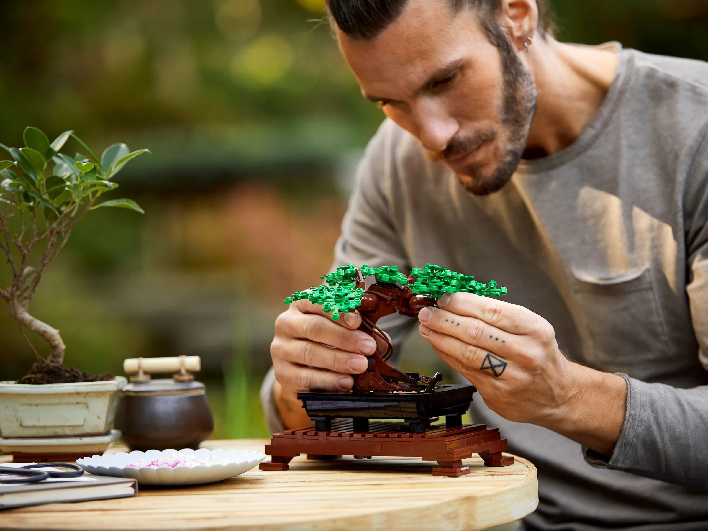 Potted Bonsai Tree 11651 image 13