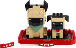 German sheepdogs