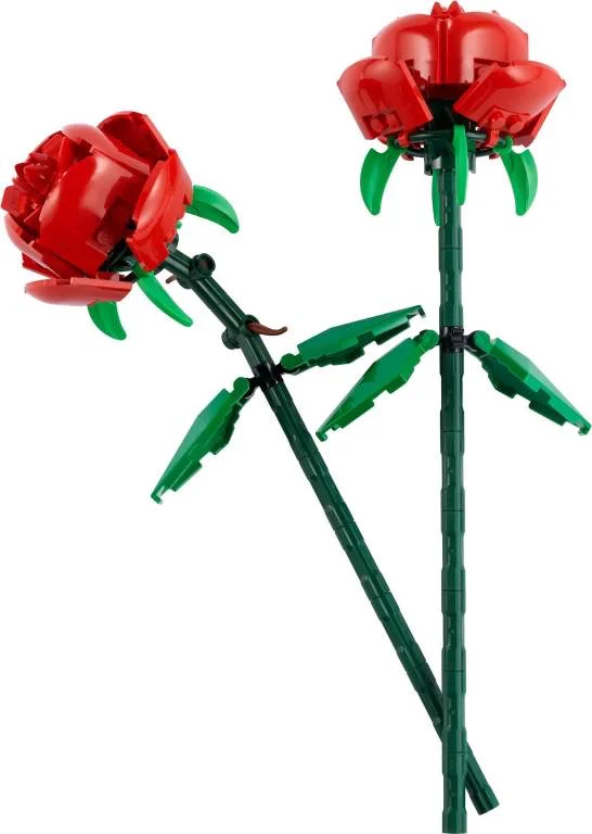 Rose 11648