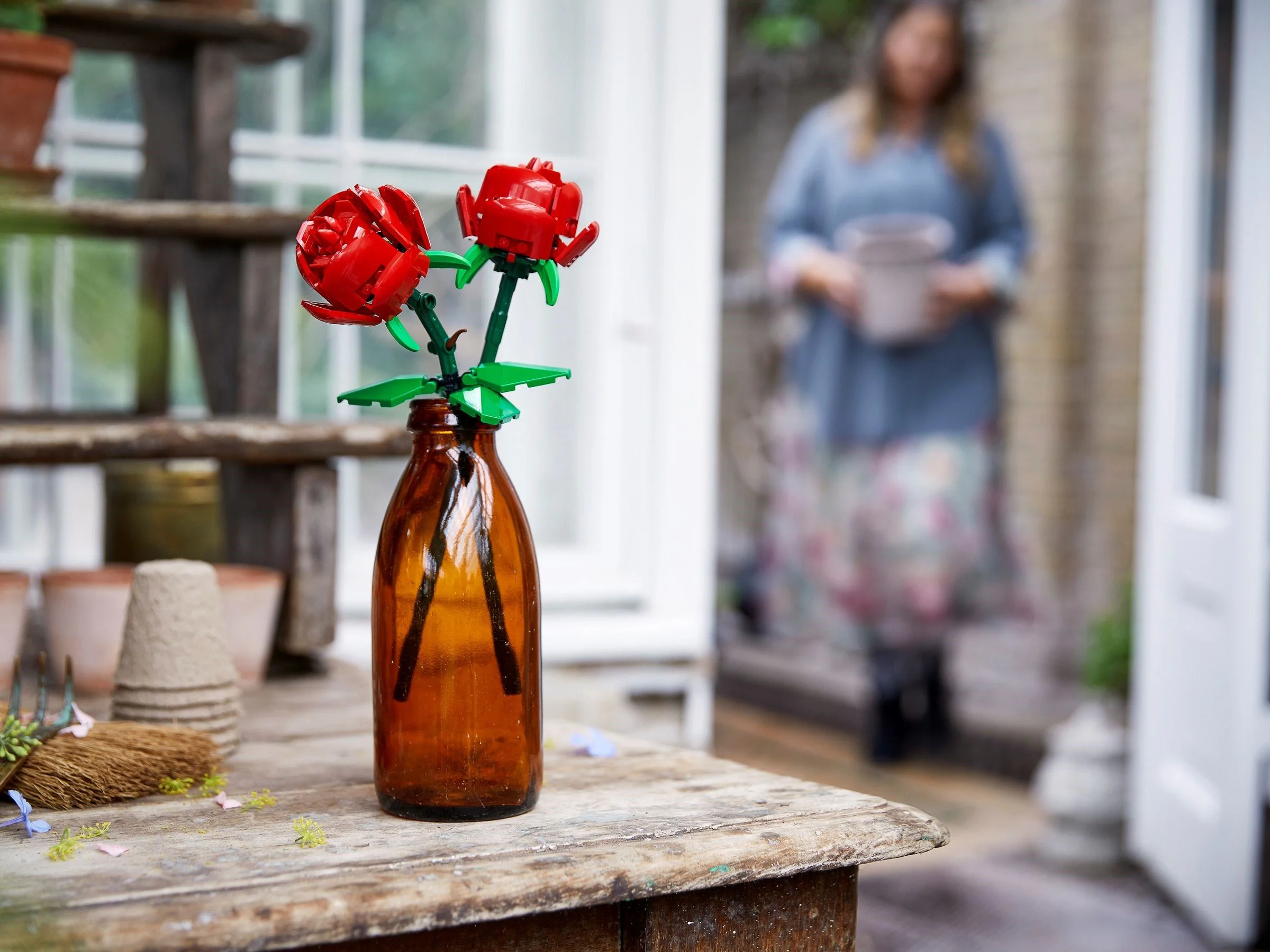 Rose 11648 image 2