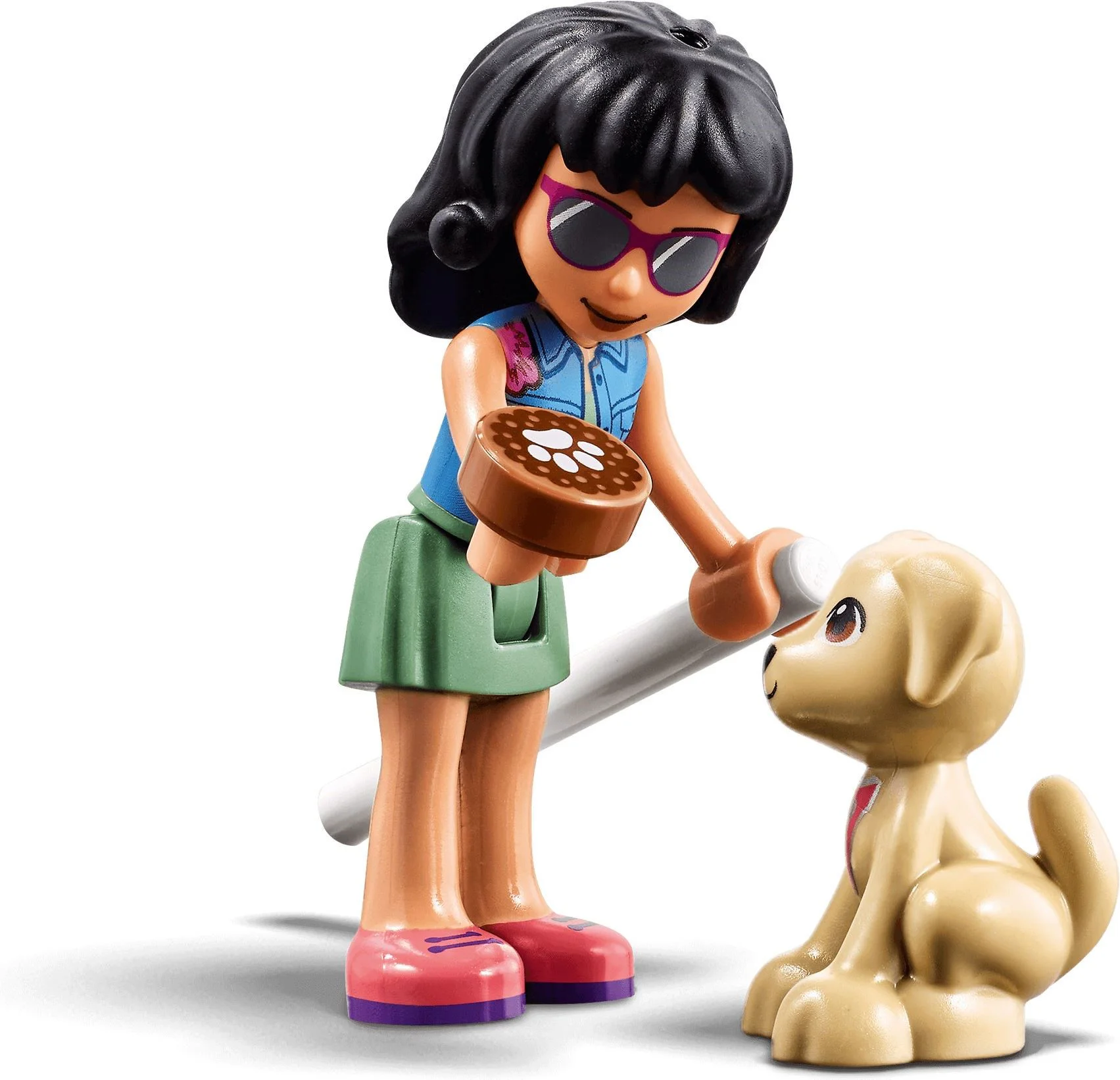 Good friend: Heart Lake Pet Clinic 乐高 LEGO 41446 image 2