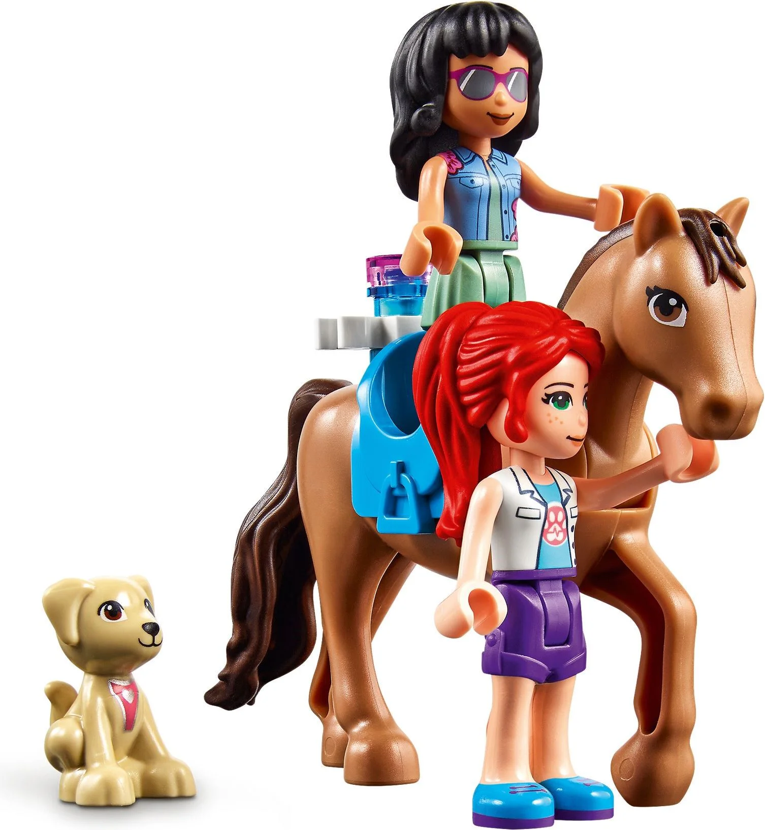 Good friend: Heart Lake Pet Clinic 乐高 LEGO 41446 image 9