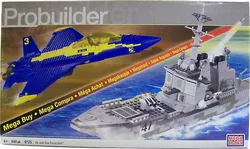 Air and naval units
