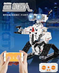 Programming Robot