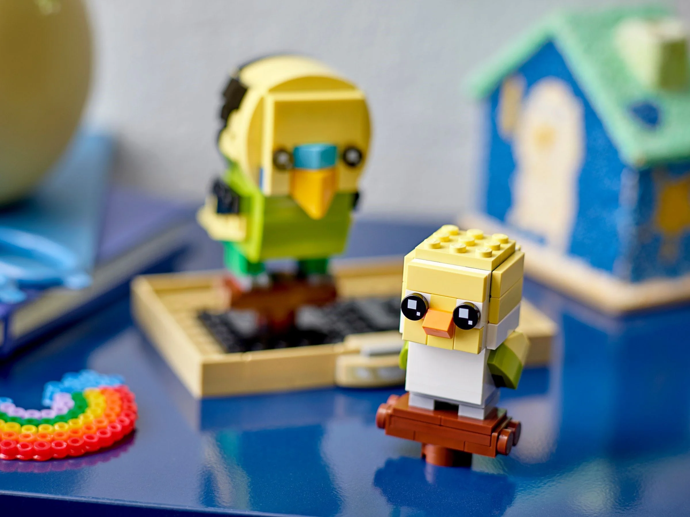 Tiger parrot 乐高 LEGO 40443 image 4
