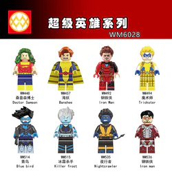 Little Hero 8 Varieties: Superhero Series