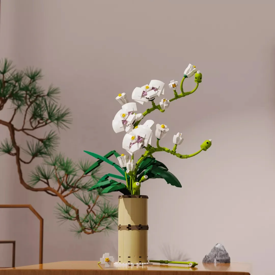 Flower beams: Butterfly orchids 启智乐 92000 image 2