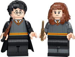 Harry Potter and Hermione Granger
