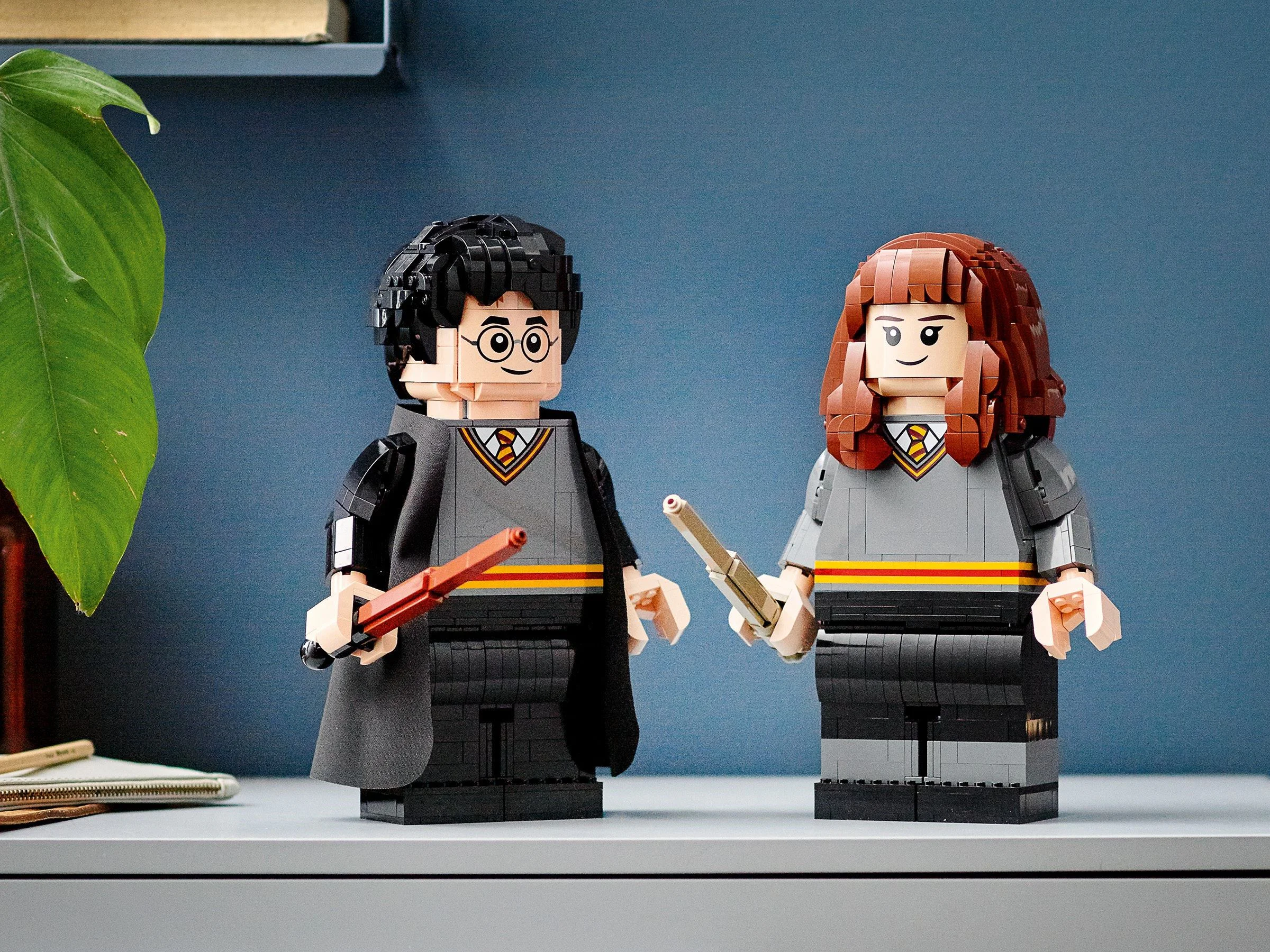 Harry Potter and Hermione Granger 60140 image 4