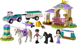 Good friend: pony training grounds