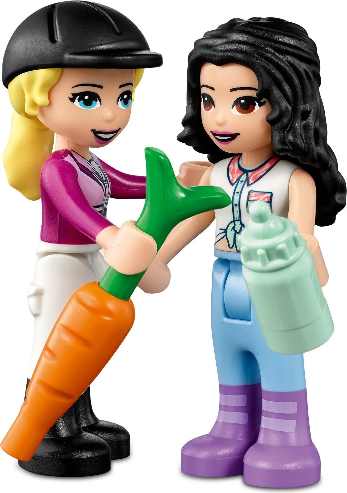 Good friend: pony training grounds 乐高 LEGO 41441 image 2