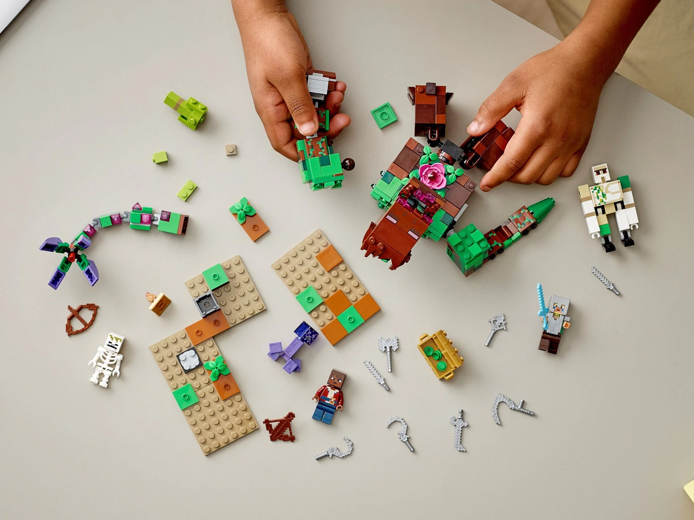 Detests the wilderness 乐高 LEGO 21176 image 7