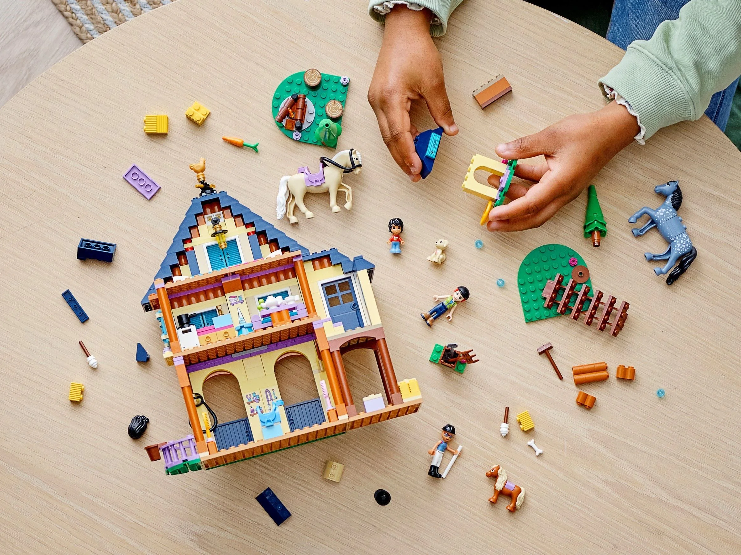 Good friend: Forest Equestrian Center 乐高 LEGO 41683 image 7