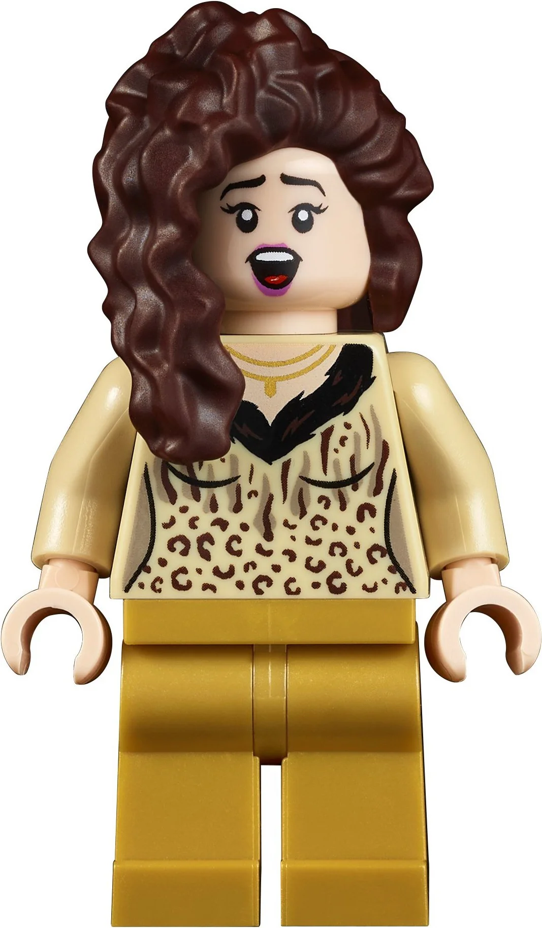 Old friend: Monica and Rachel's apartment 乐高 LEGO 10292 image 2