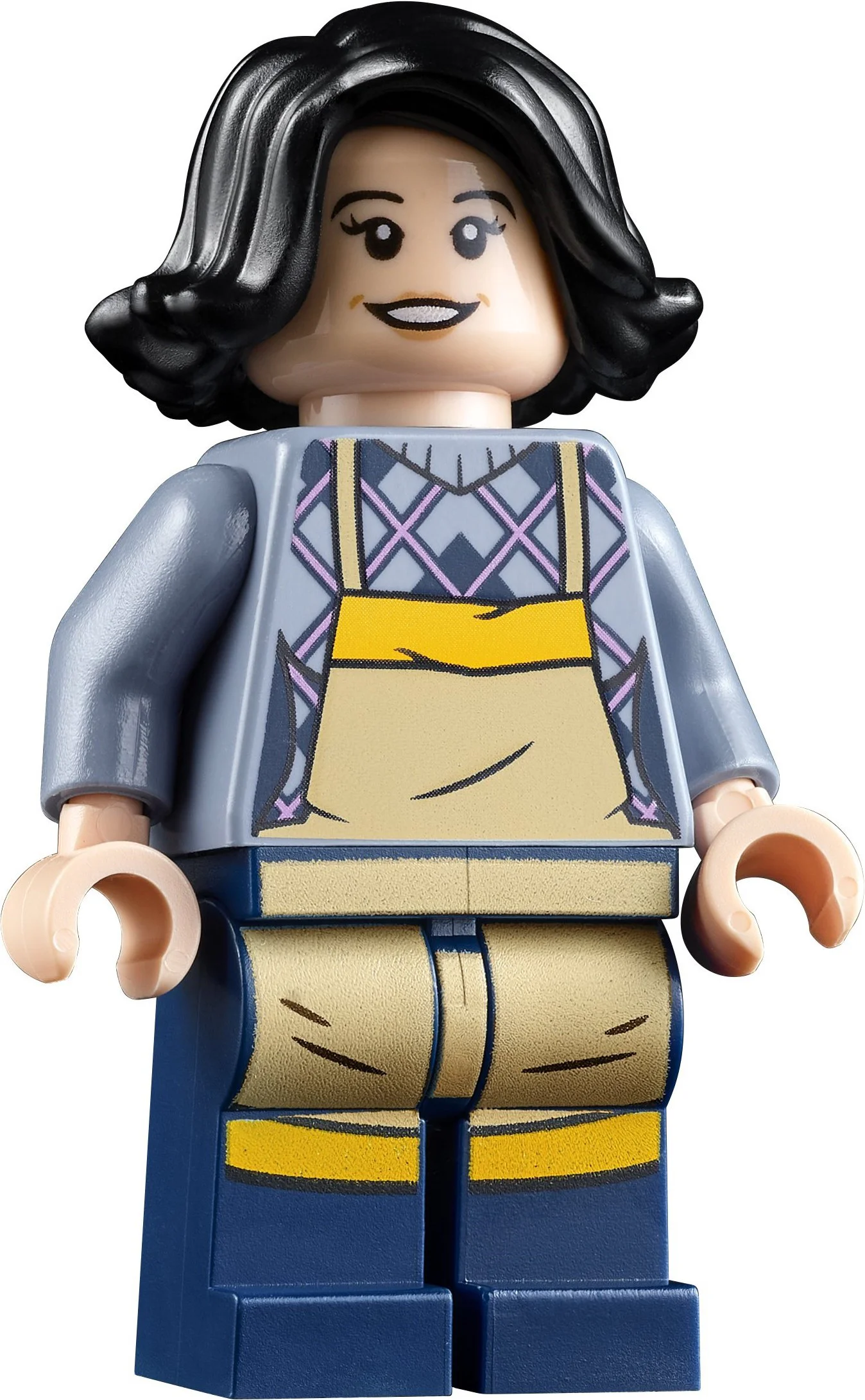 Old friend: Monica and Rachel's apartment 乐高 LEGO 10292 image 12