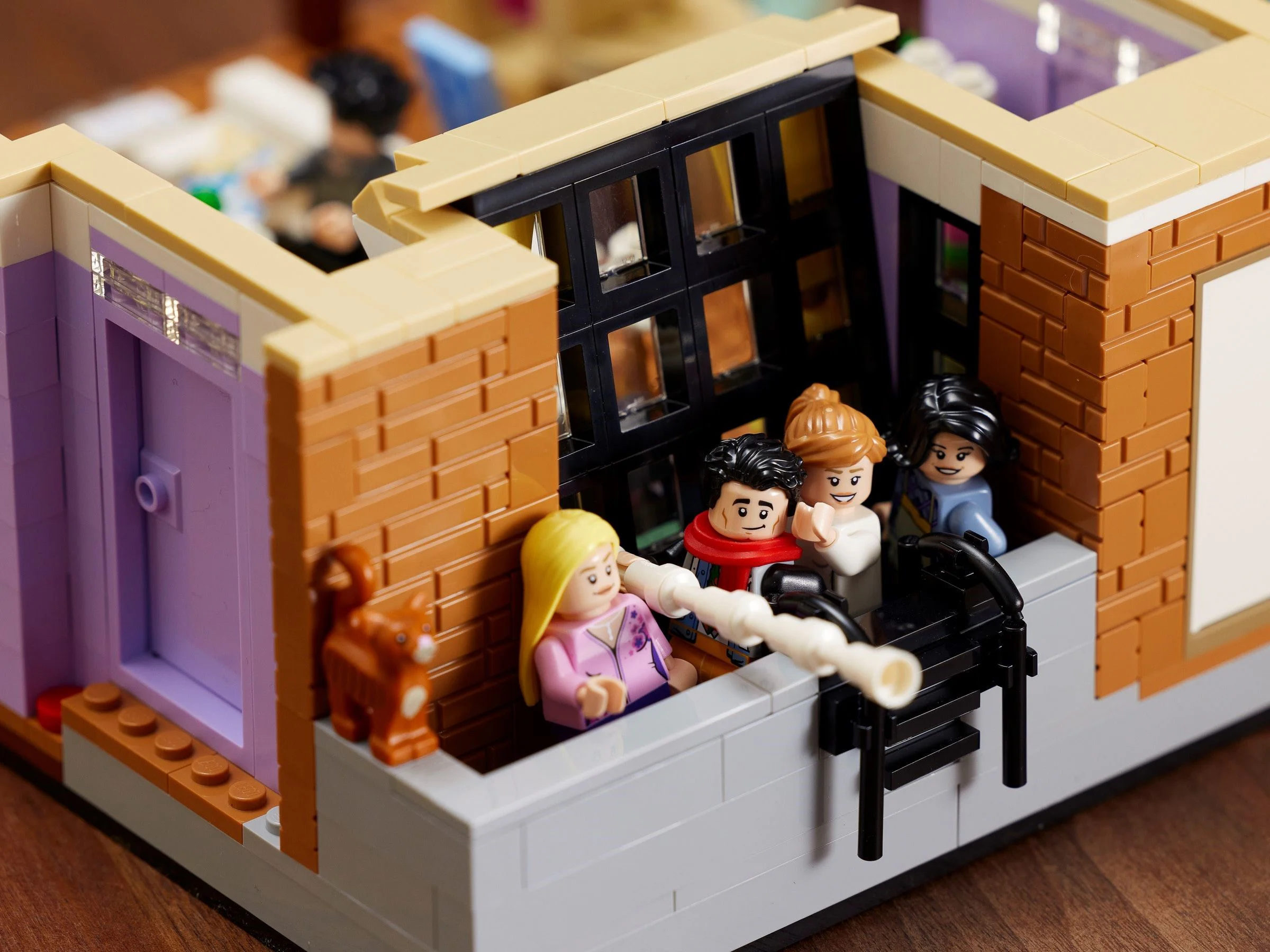 Old friend: Monica and Rachel's apartment 乐高 LEGO 10292 image 27
