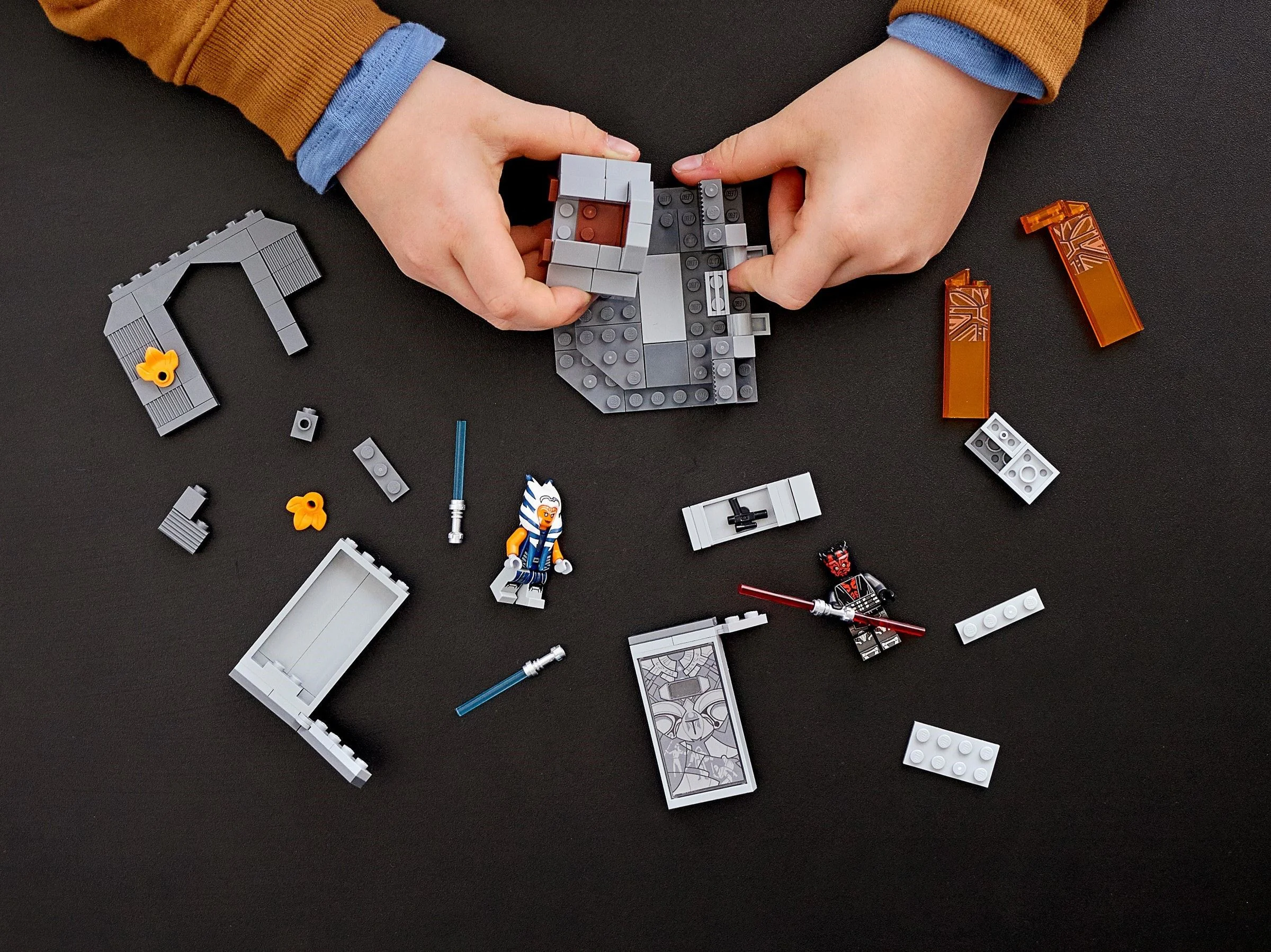 Fight Mandarlo 乐高 LEGO 75310 image 3