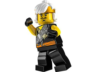 Young Wu 乐高 LEGO 891945 image 2
