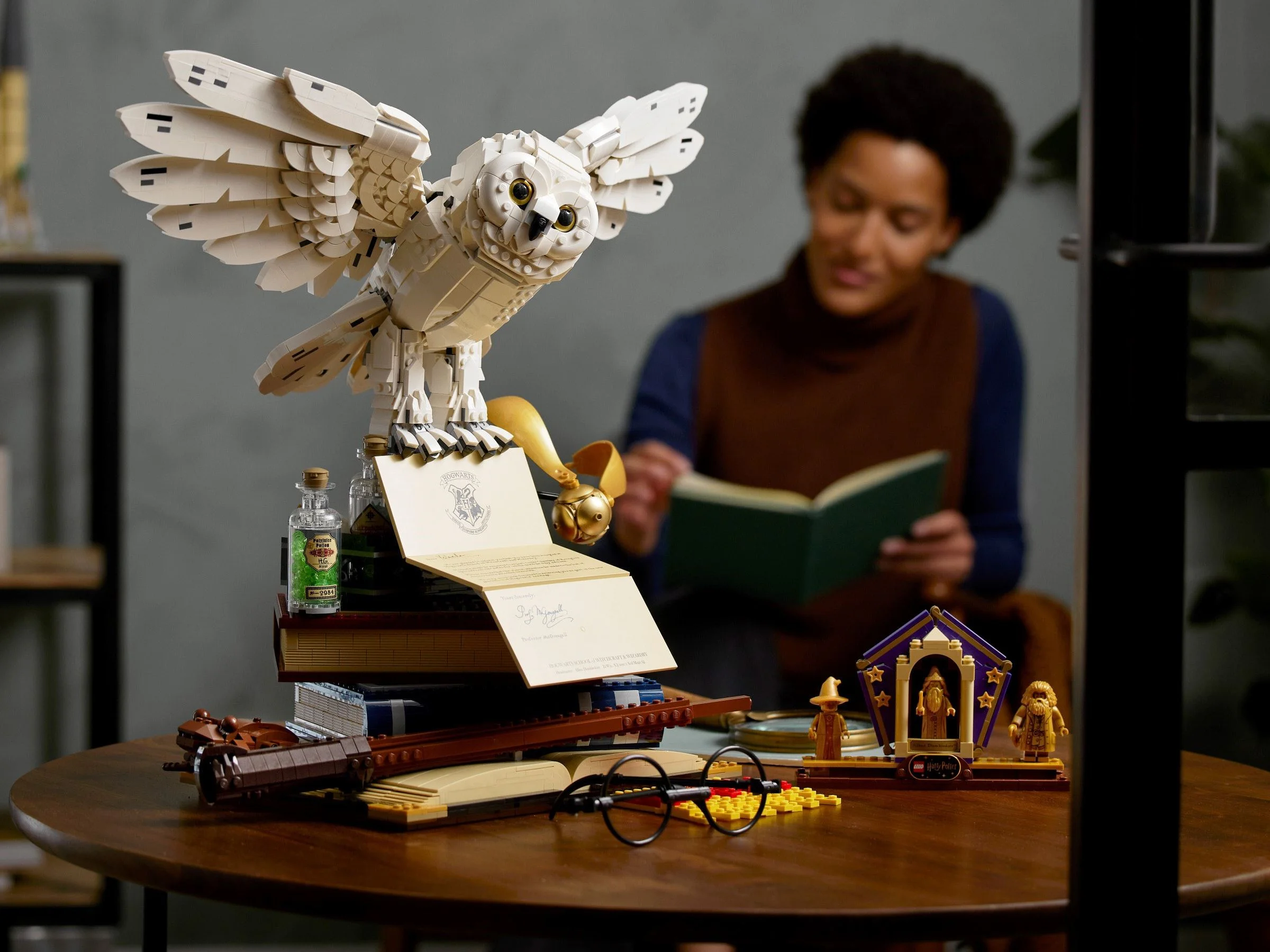 Hogwarts Classic Treasures 99066 image 9