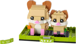 Hamster