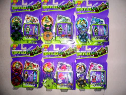Ninja Turtles: Rise of the Teenage Mutant Ninja Hero Turtles