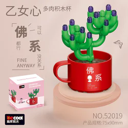 Succulent Plant Collection: 12 Varieties