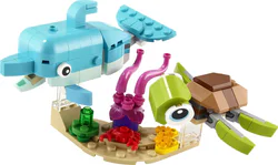Dolphins and turtles
