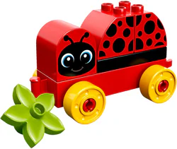 My little ladybug