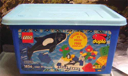Ocean Park