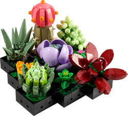 Meat-based plant