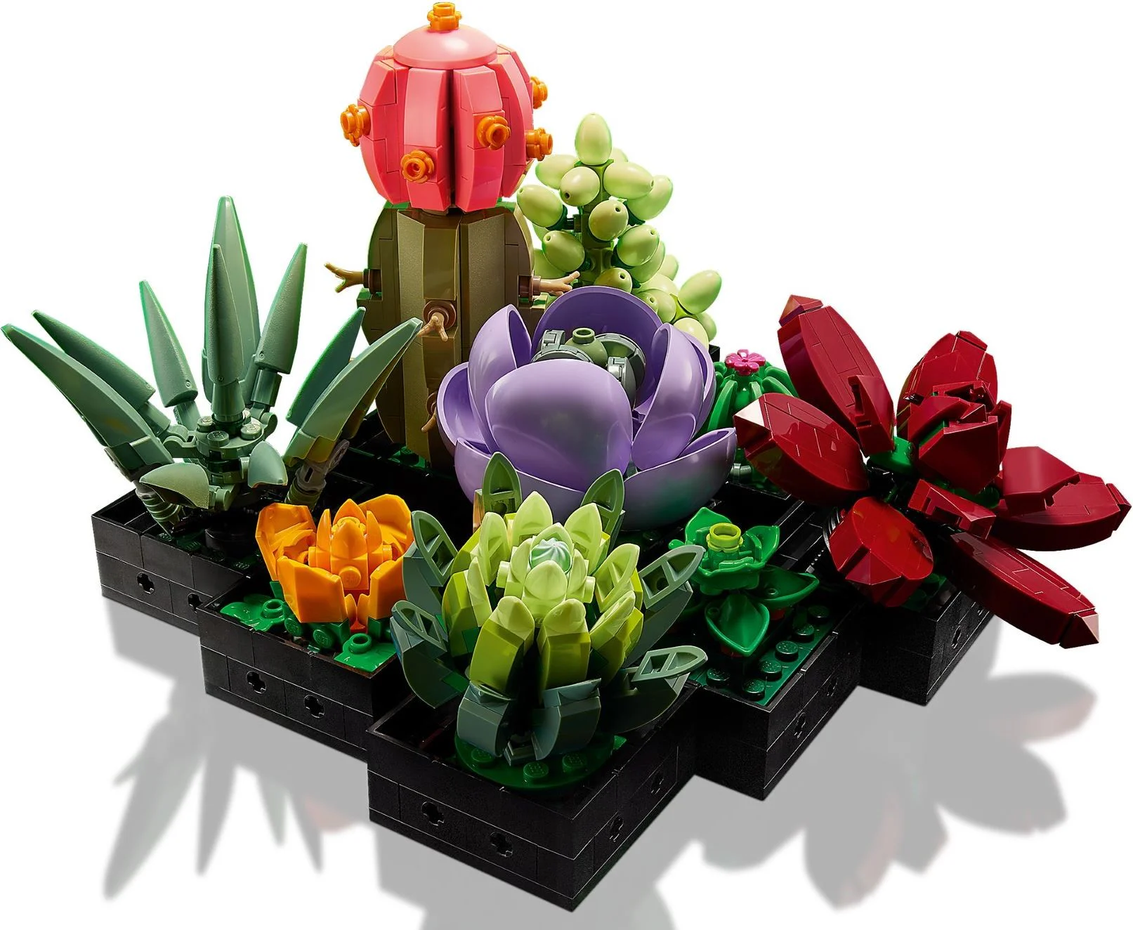 Meat-based plant 无牌 12399 image 3