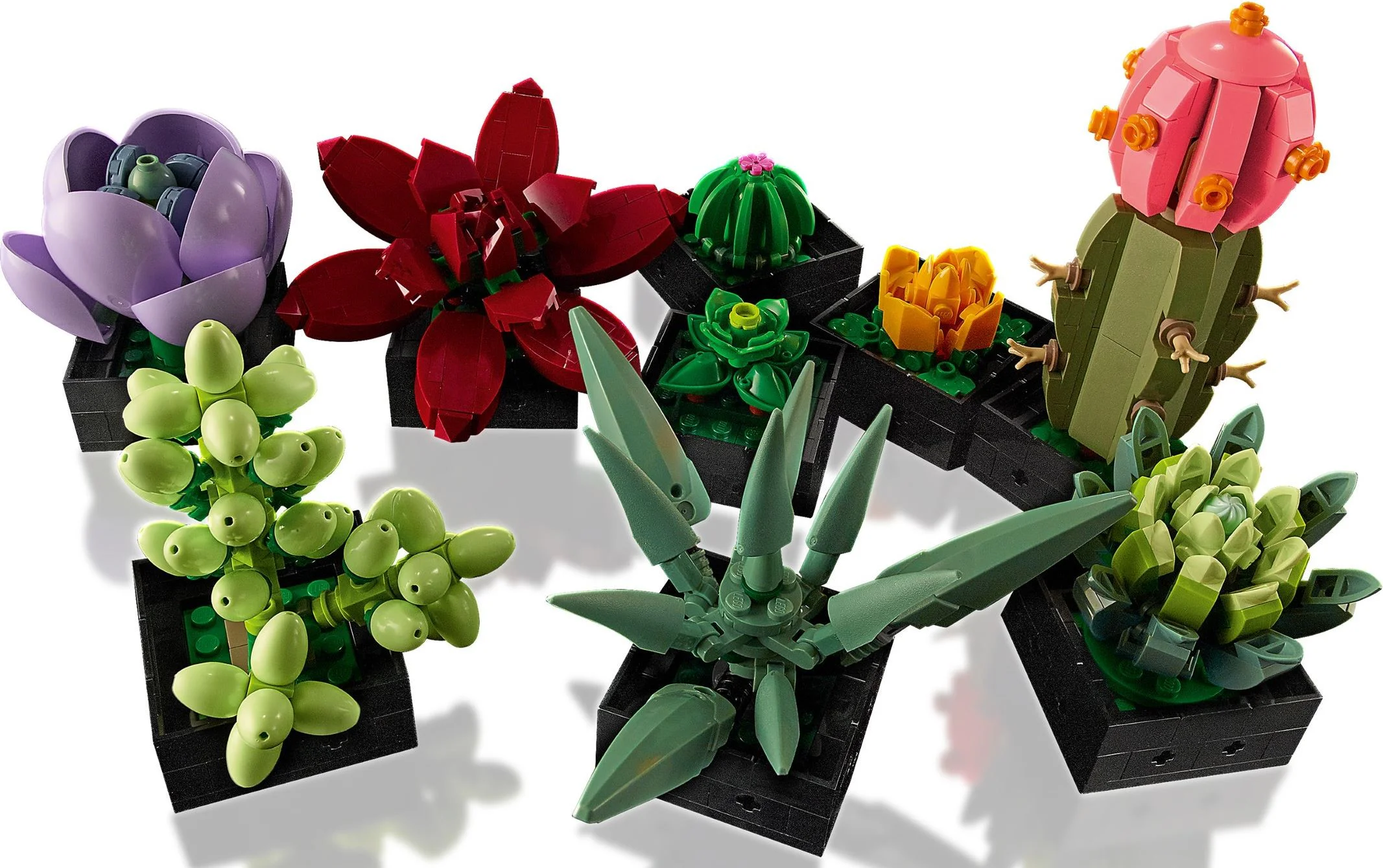 Meat-based plant 无牌 12399 image 5