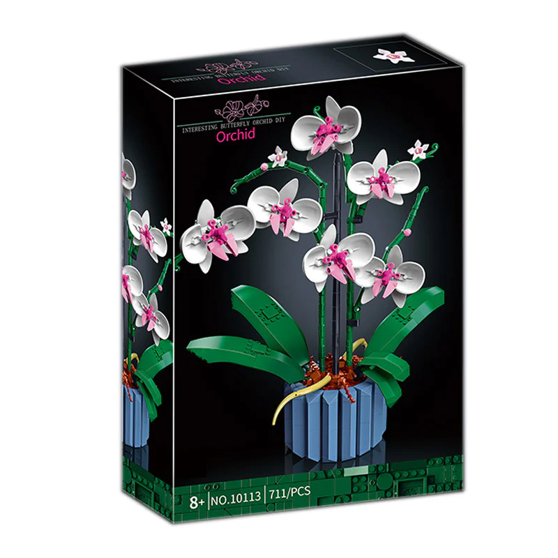 Orchid 无牌 12390