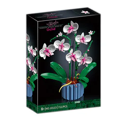 Orchid