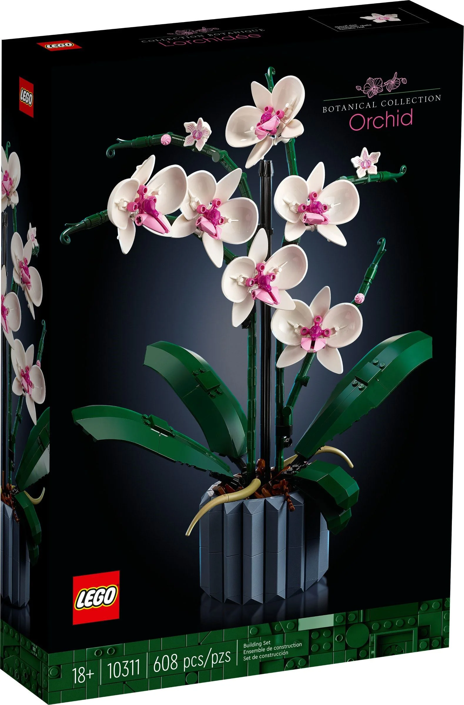 Orchid 无牌 12390 image 1