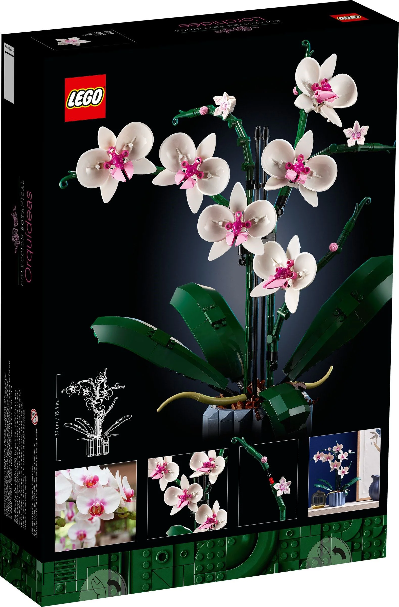 Orchid 无牌 12390 image 3