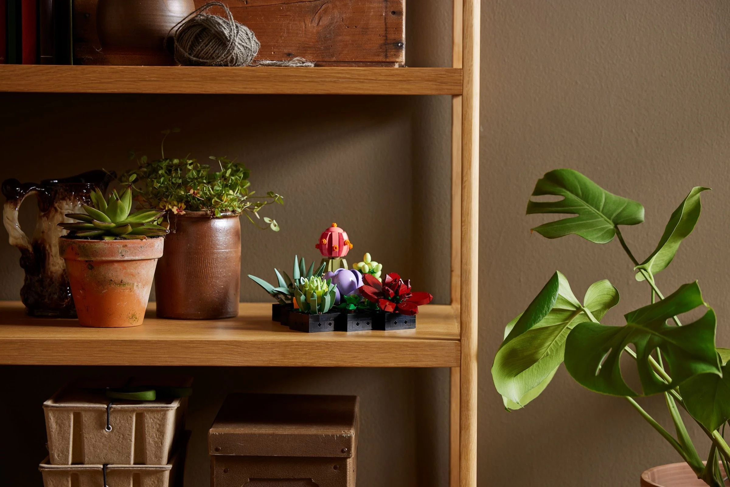 Meat-based plant 无牌 12399 image 8