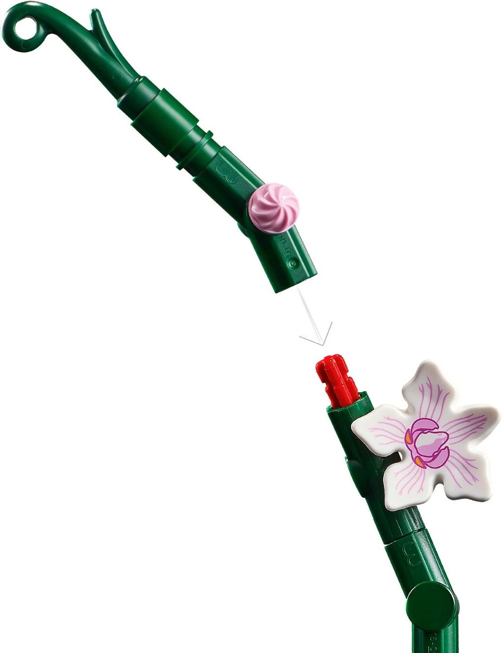 Orchid 无牌 12390 image 6
