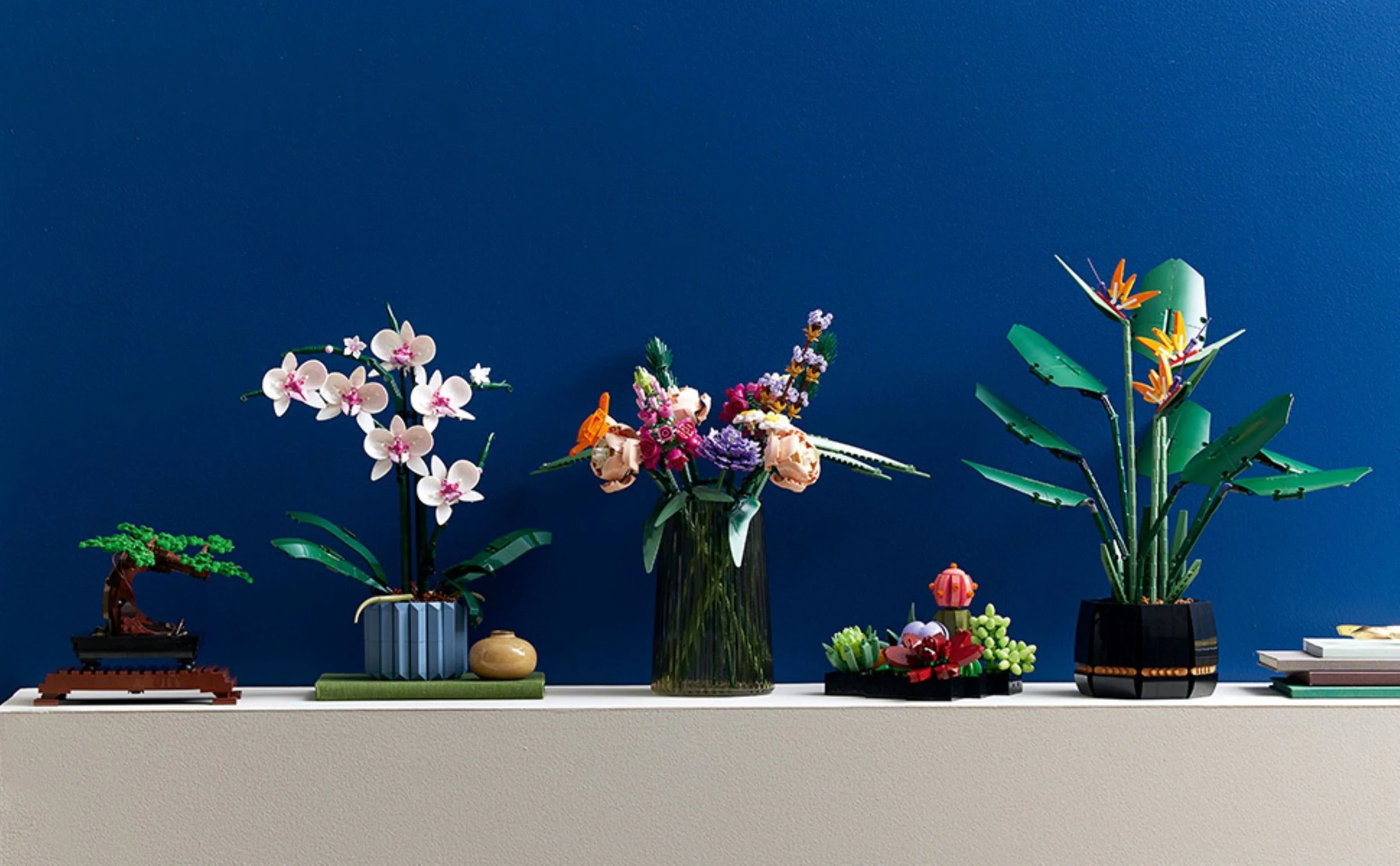 Orchid 无牌 12390 image 9