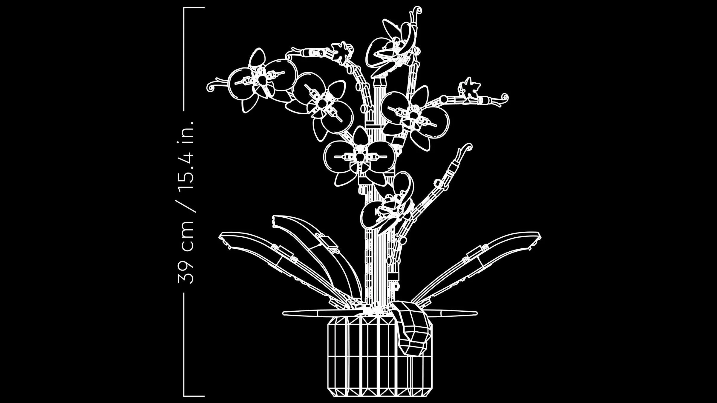 Orchid 无牌 12390 image 10