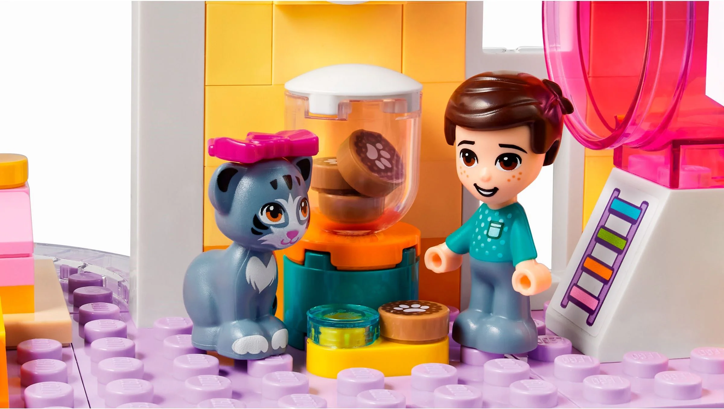 Good friend: Love Paradise 乐高 LEGO 41718 image 4